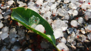 罕见气象！炎炎夏日，大埔县洲瑞镇被冰雹突袭