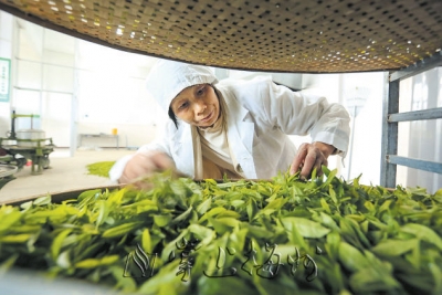 榜上有“茗”！