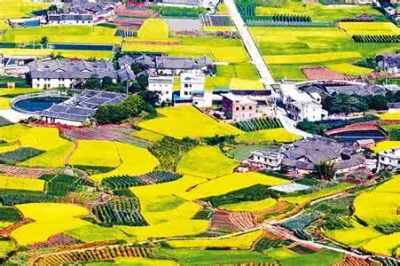 我市清凉山茶客都稻米通过国家农产品地理标志终审