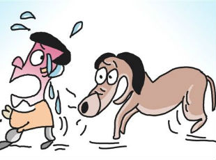 五华一老人因举证不能 结果被狗“白咬”