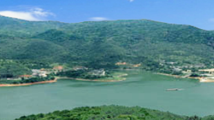 陈伟明：加快石窟河十里画廊建设 打造山水绿城重要节点 