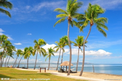“阳东岩”与梅花古迹