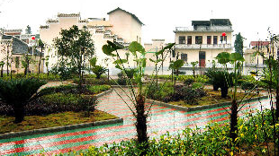 大埔全面启动省定贫困村创建社会主义新农村示范村工作