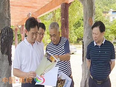 蕉岭县陈德志、徐杞文率队检查“十大重点工程”推进情况