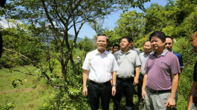 曾永祥率队督导调研新农村建设等工作强调：全县动员，全民动手，精心打造社会主义新农村示范村