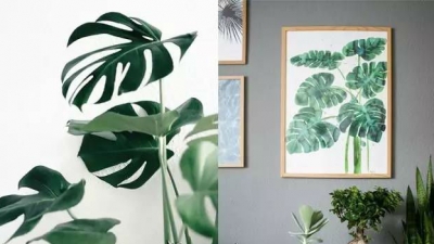 美居风尚丨把INS风装进家