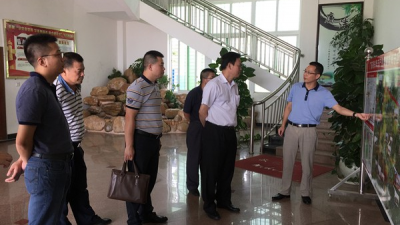 湛江市协作办一行到兴宁考察 交流招商经验