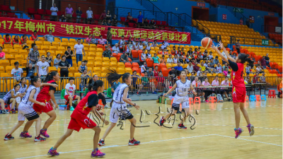 丰顺“巾帼女将”厉害了！市运会女篮项目落幕，丰顺队全胜夺冠