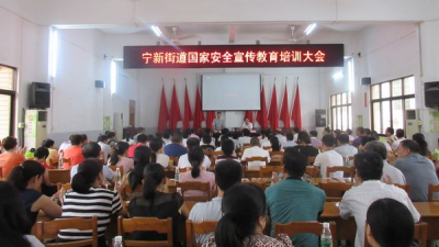 兴宁市宁新街道举行国家安全宣传教育培训会