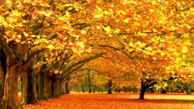 散文园丨秋娃来了吗