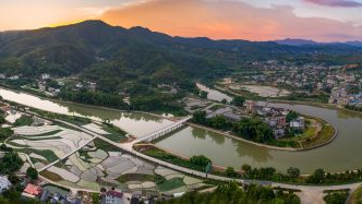 大埔造林治水呵护绿色资源 建设美丽乡村