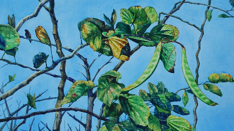 陈培锋｜鼓手传说