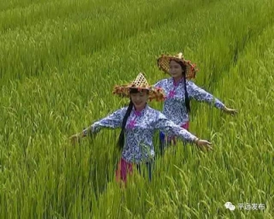 赶禾花，迎丰收！八尺镇这个活动，让游客发现自然之美！