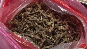 “草头药”包治百病？ 兴宁有人被骗上千元