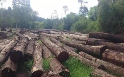 丰顺留隍镇取缔一非法加工场