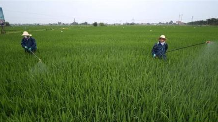 我国科研机构联手防控耕地重金属污染