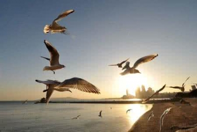 碰笔会丨换个角度看人生