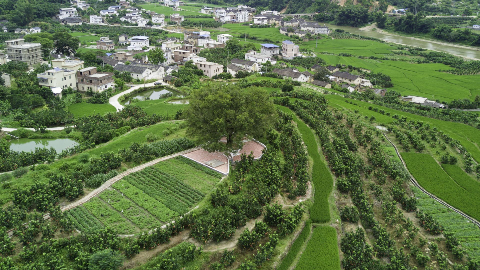 村民增收环境变美！省质监局“多重保险”助贫困村大变样