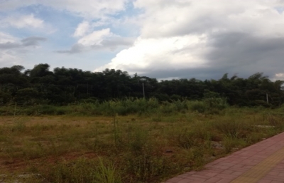 梅县区一地块历经89轮竞价1.7亿元成交