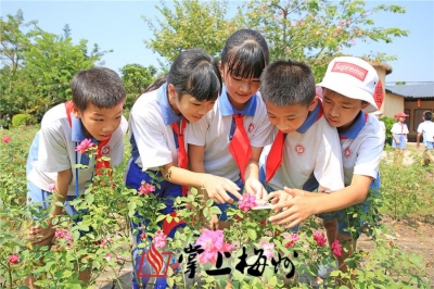梅州启动全国科普宣传周活动