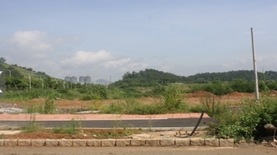 4.2913亿，梅县区又一地块拍出高价