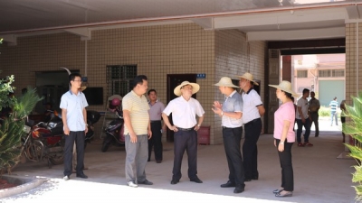 兴宁市徐甦到合水镇调研指导“六个一”项目建设