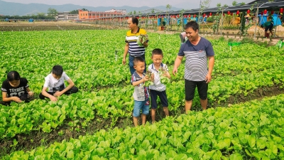 又一好去处！这个集种植、旅游、采摘于一体的农业园今日开园