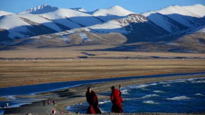 陈培锋｜消失的朋友
