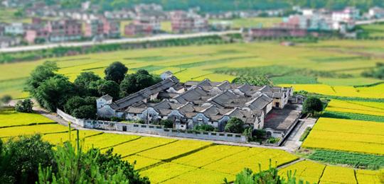 让乡村小镇更美、球乡更兴  几位“大佬”对梅县提了这些建议