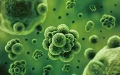 我国科学家利用深海微生物合成强效抗结核抗生素