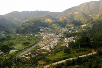 丰顺潭江：“一片茶叶”的供给侧改革