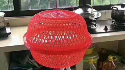 据说，家长们最近都被幼儿园的亲子作业逼疯了？