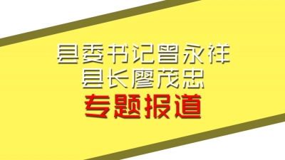 丰顺县委书记、县长专题报道