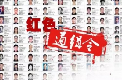 “百名红通人员”王林娟回国投案 2011年逃往加拿大