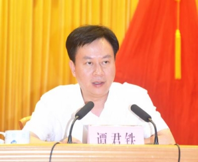 谭君铁：为加快建设“一区两带六组团”贡献力量