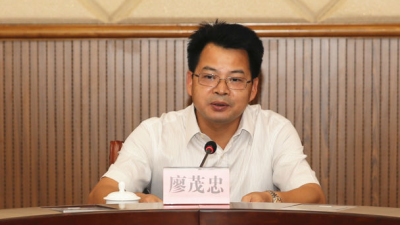 丰顺县召开丰顺县参加市“铁汉生态杯”第八届运动会总结座谈会