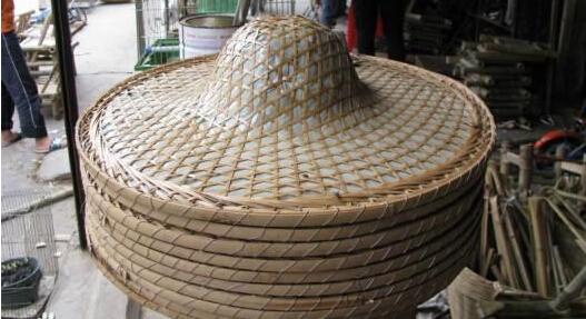 关于《人造“笠麻岽”的不解之谜》一文观点的商榷