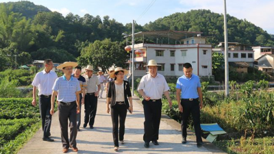 区长肖卫华陪同市人大常委会副主任曾小华调研重点工作推进情况