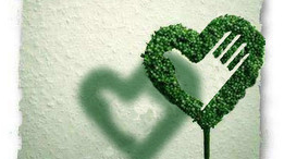 丰顺志愿者走街串户宣传创文