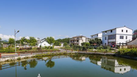 大埔西河：围绕产业提升发展塑造“升级版”美丽乡村