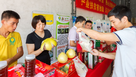 省第二届“十大名牌”系列农产品推介会暨扶贫 产品驮娘柚发布会举行