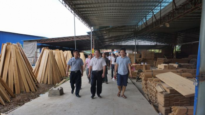 五华县召开木材经营加工企业和林地管理专项整治现场会