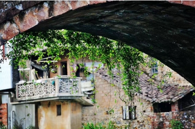 陈培锋｜再见理想