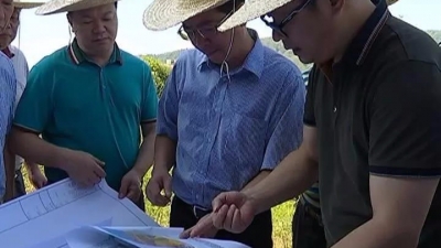 加快一抹禾香酒业项目建设，县长刘许川要求……