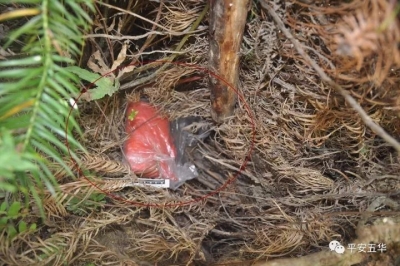 五华男子“做贼心虚”填埋赃物，进了民警“欲擒故纵”的“坑”！