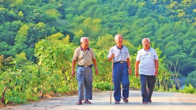 “田园隐者”三兄弟