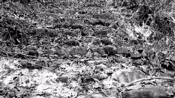 嘉州古驿道丨揭岭飞泉古道