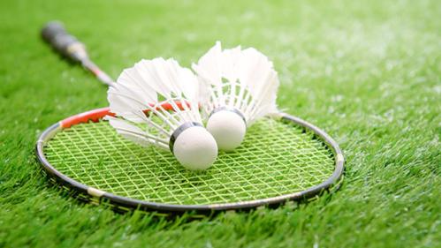 五华举办羽毛球、乒乓球混合团体赛迎国庆