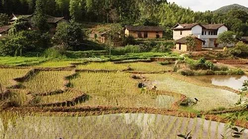 平远梅畲村：成立村民理事会助乡村建设