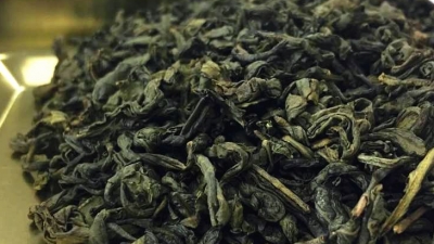 梅州6个茶叶产品上榜2020年广东十大好春茶！收好名单，逐个来品